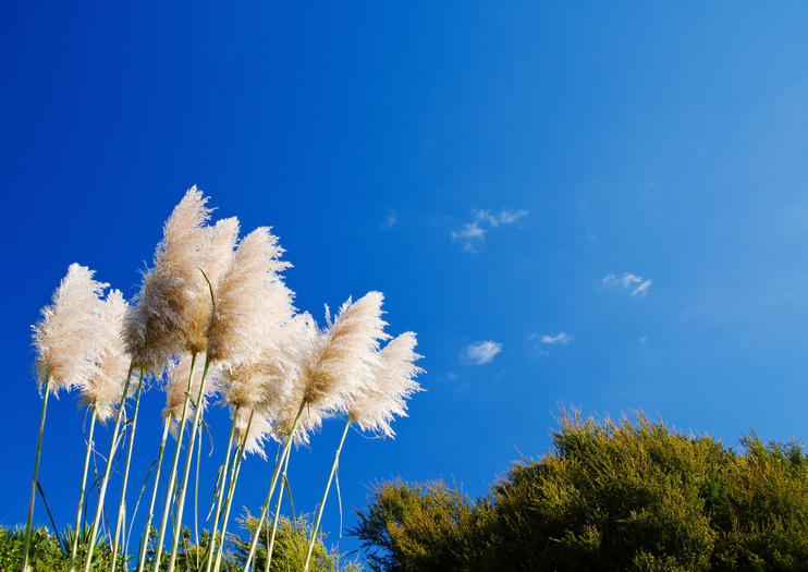 Jindai Botanical Gardens